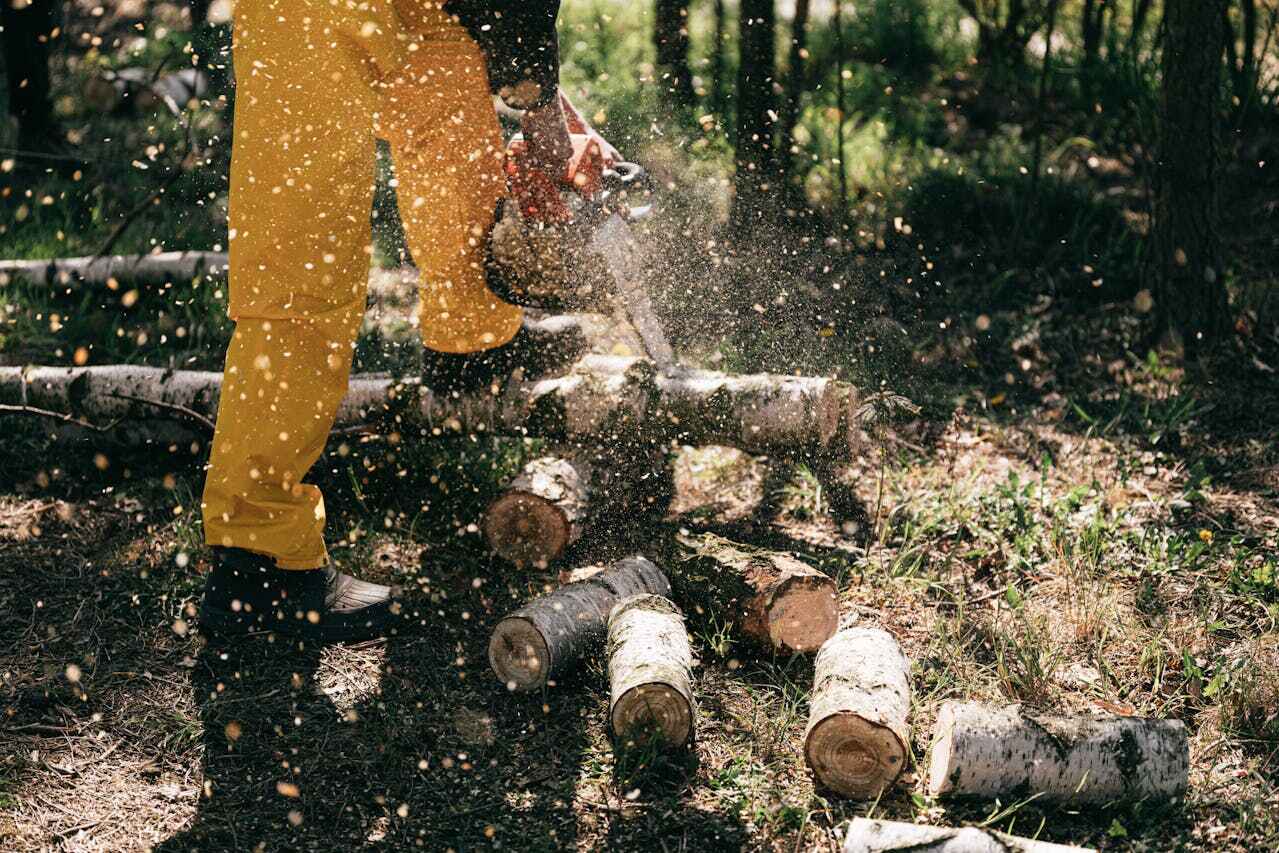 Best Stump Grinding Near Me  in Dade City North, FL